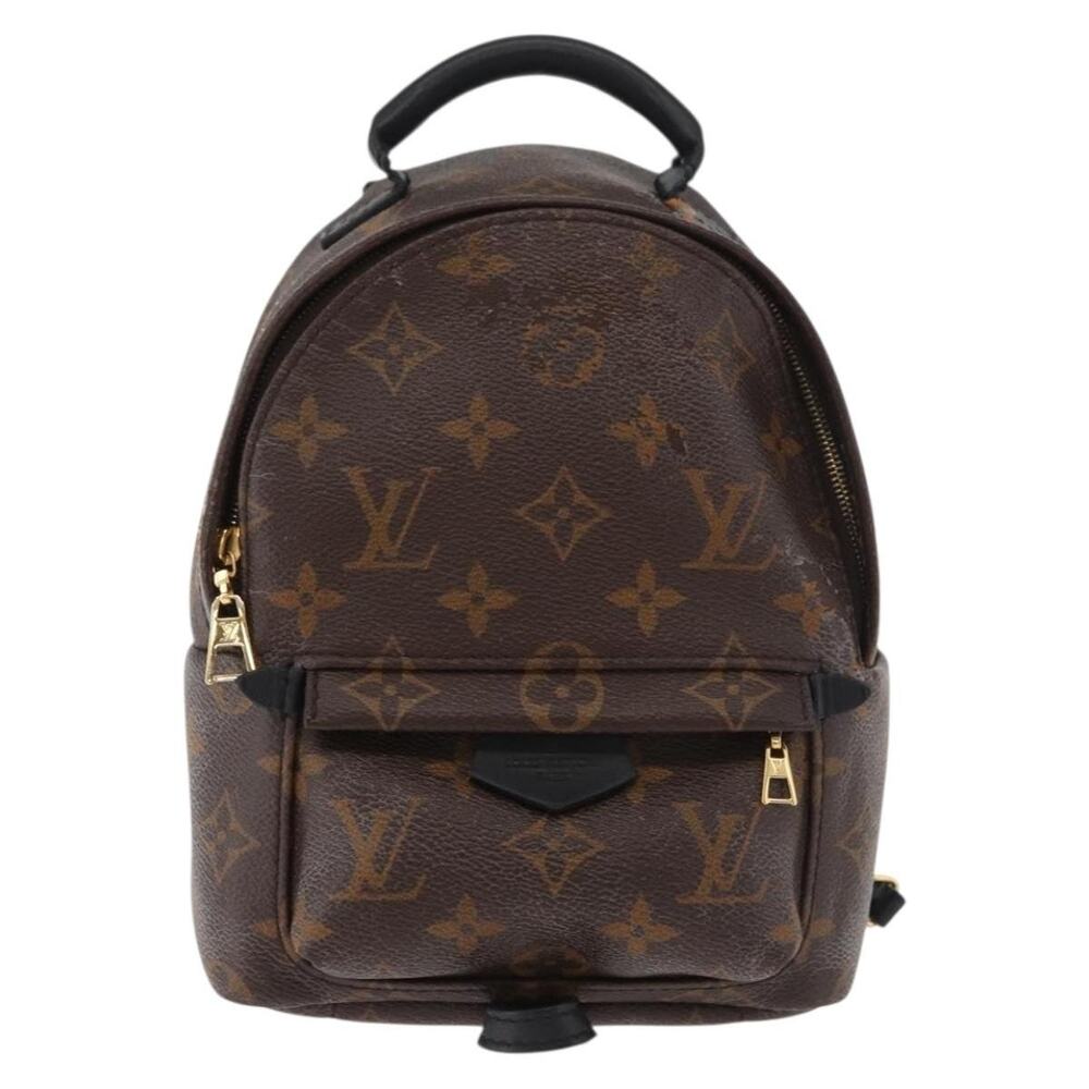Louis Vuitton Monogram Palm Springs Mini Backpack Brown